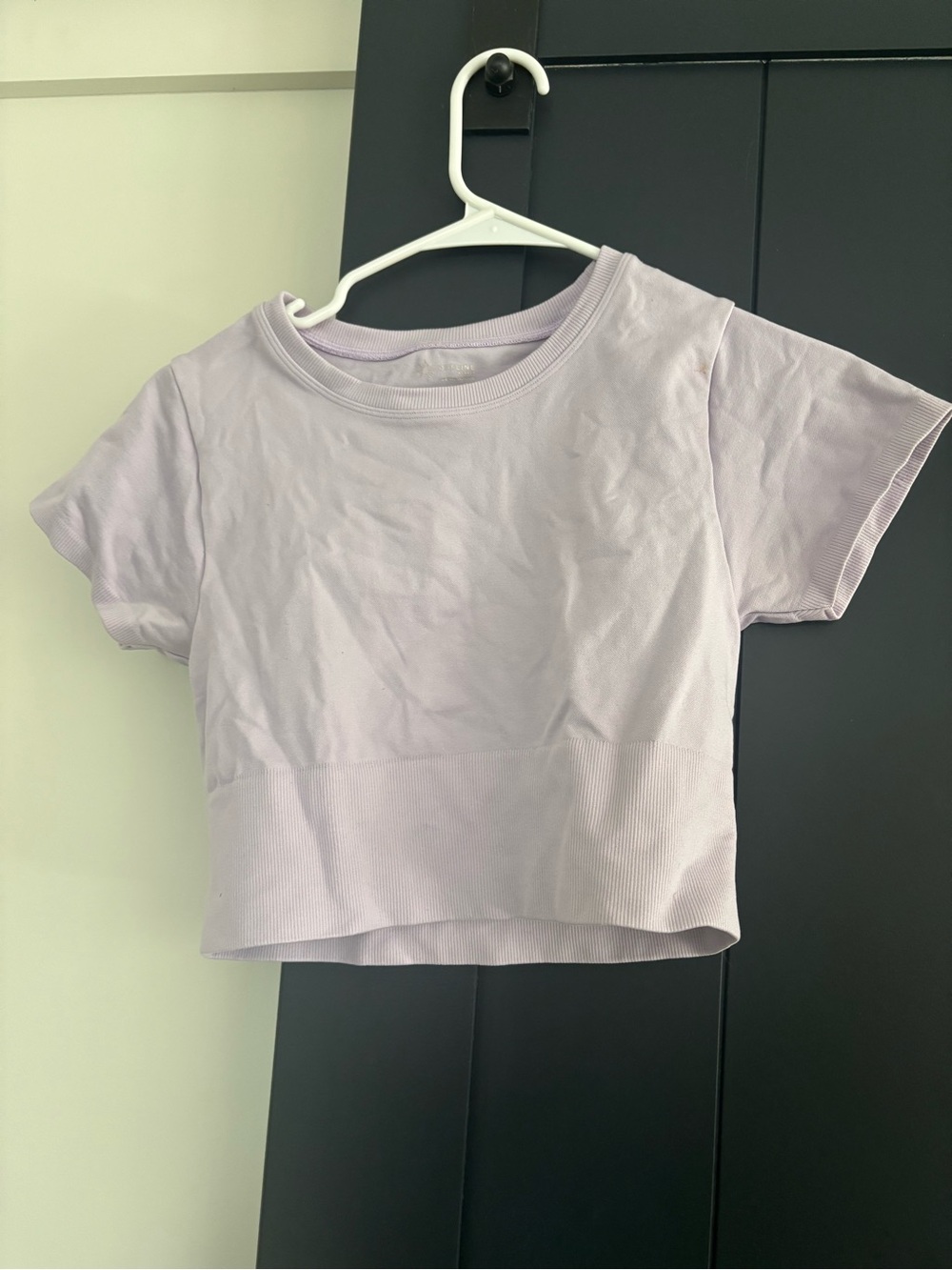 Lilac Short Sleeve Crop Tee - Women’s Casual crop top size small aerie offline